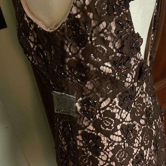 JS Boutique brown tan floral lace dress. Midi - Picture 4 of 5